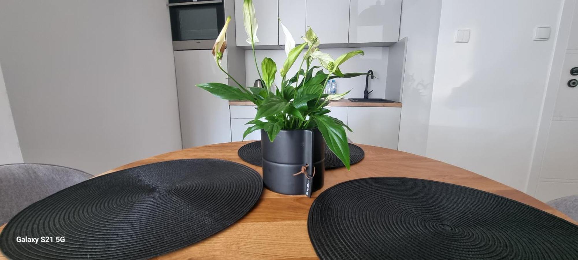 Apartament Moje Dabrowno المظهر الخارجي الصورة