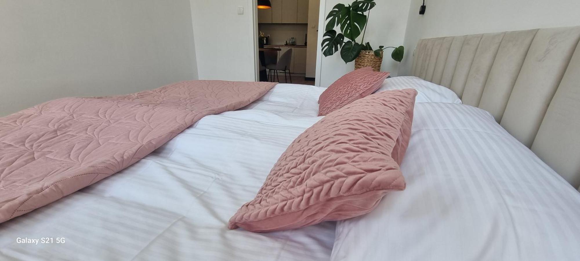 Apartament Moje Dabrowno المظهر الخارجي الصورة